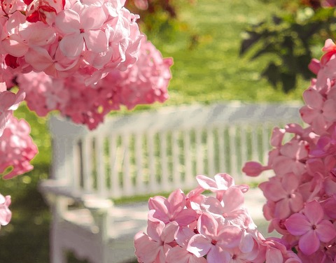 23.05. | LIEC ELPAI AIZRAUTIES! DOBELĒ: jauns ideju dārzs Lāču Līčos. Lieliskais CERIŅU dārzs. Aizraujoša izstāde “A.Bīlenšteinam – 200!” ĪLES BAZNĪCAI top tornis! 