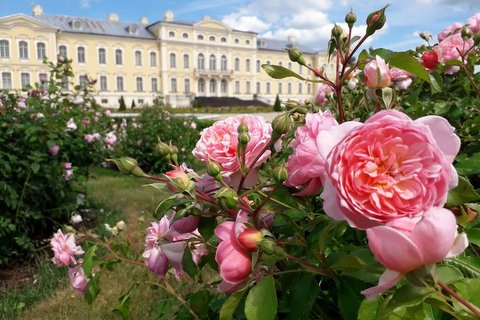 6.07. | Rožu ziedēšanas laiks RUNDĀLES PILS dārzā! IGO CEPLIS Lielupes krastā un skaistais komplekss MIĶELIS!